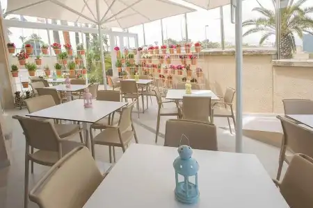 Sant Jordi - 19