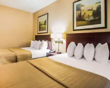 Quality Inn & Suites Peoria North - 36