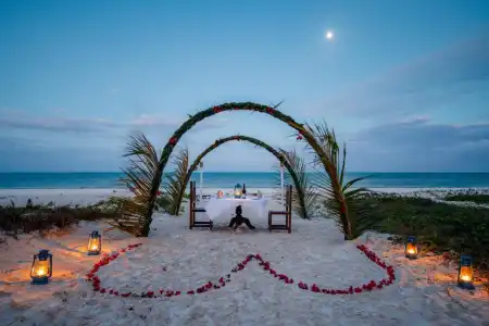 Hakuna Majiwe Beach Lodge - 44