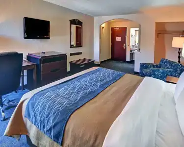 Quality Inn & Suites Irving DFW Airport South - 46