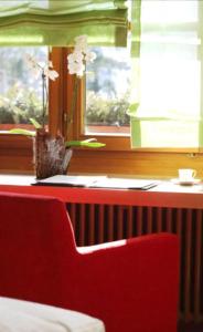 Hotel-Restaurant Adler - 7