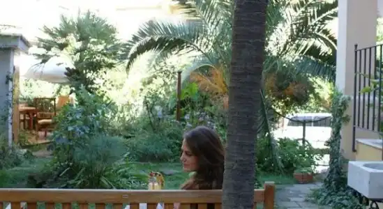 Palm Gallery - 26
