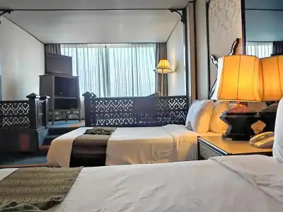 Chiang Mai Orchid - 84