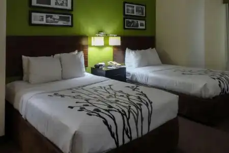 Sleep Inn & Suites Columbus - State University Area - 34