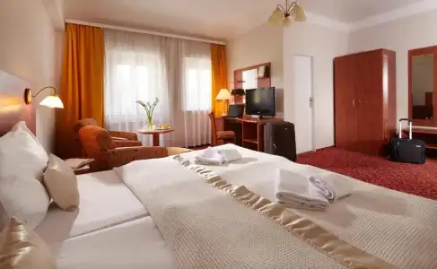 Spa Resort PAWLIK-AQUAFORUM - 63