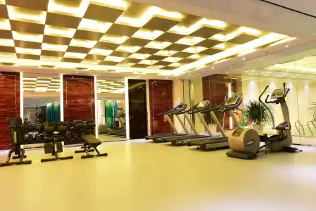 Tylfull - 20