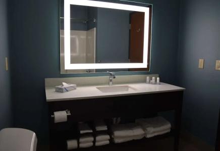 Wingate by Wyndham College Station South - 56