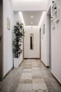B&B Stramondo - 13