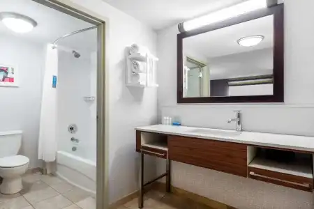 Hampton Inn Suites Minneapolis St Paul Arpt-Mall of America - 77