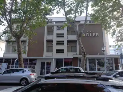 Adler - 43