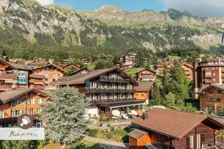 Alpenkräuter Bären - 16