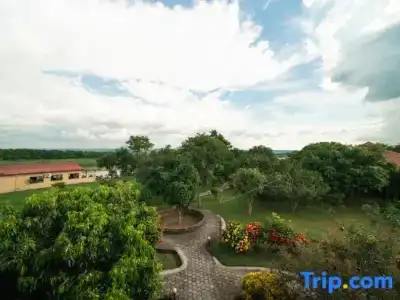 Wildlife Adventure Resort - 46