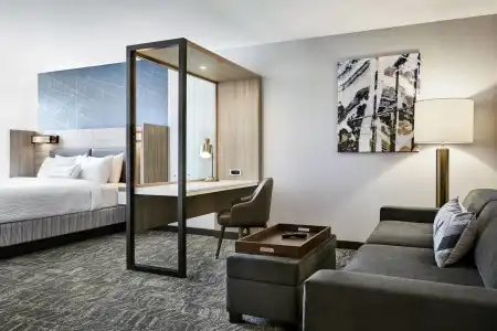 SpringHill Suites by Marriott Huntington Beach Orange County - 3