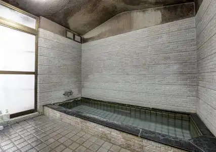 Ryokan Sakamotoya - 4