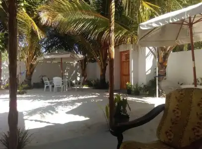 Palm Garden - 13
