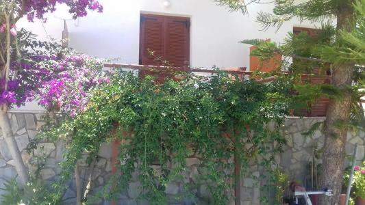Maistrali - 31
