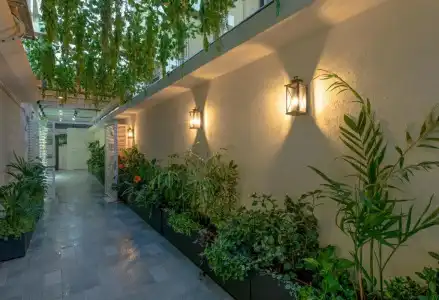 Dizengoff Garden - 8