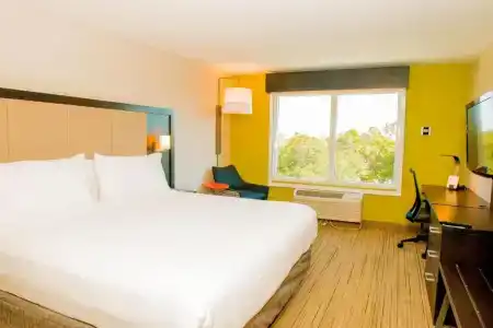 Holiday Inn Express St. Petersburg North (I-275) by IHG - 15
