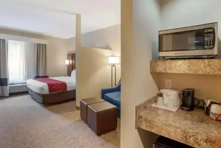 Comfort Suites Fredericksburg North - 97