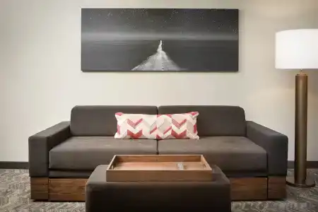 SpringHill Suites Dallas Downtown / West End - 43
