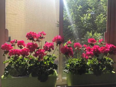 Bed & Breakfast de Nittis - 31