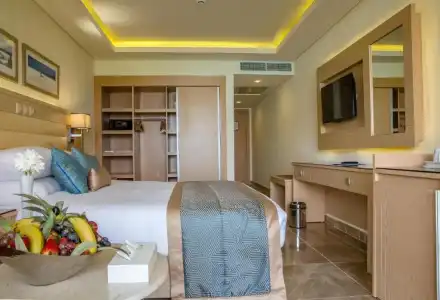 Beach Albatros Resort - 65