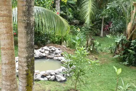 A Peace in Paradise - 7