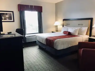 Days Inn & Suites by Wyndham Lakeland - 17