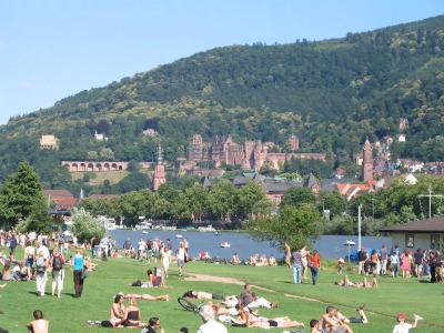 Wohlfühl-Neu Heidelberg - 16