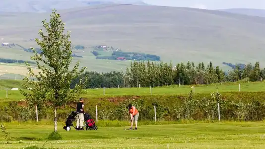 Hellishólar Hótel Eyjafjallajökull - 22