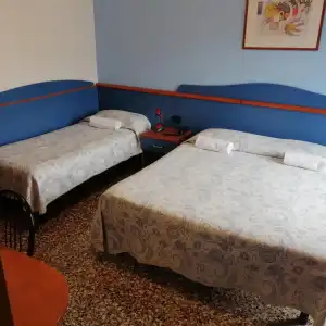 Trifoglio - 34