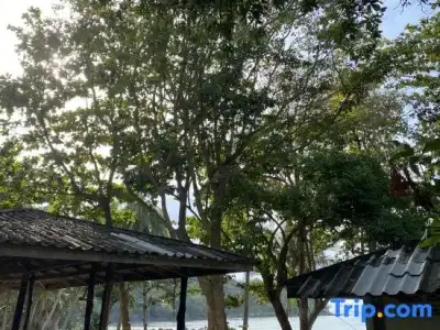 Lijiang Yunlong - 565