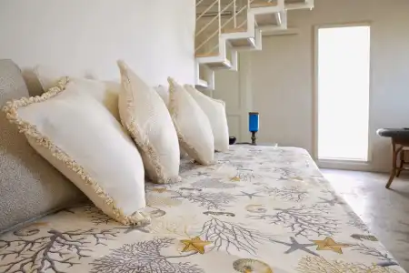 Domus Dejana - 1