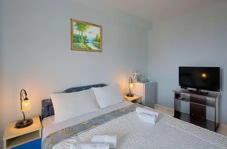 Vila Ivanovic - 22