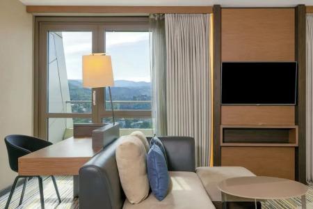 Sheraton Grand Metechi Palace - 59