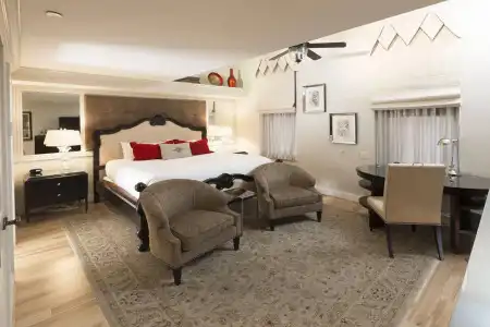 The Cincinnatian Curio Collection by Hilton - 5