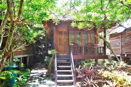 Monkey Island Resort - 57