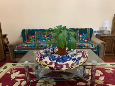Sitorabonu Mini-Hotel - 29