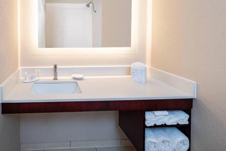 SpringHill Suites Houston Medical Center/NRG Park - 30