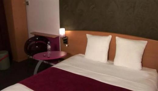 ibis Styles Bourg en Bresse Centre - 39