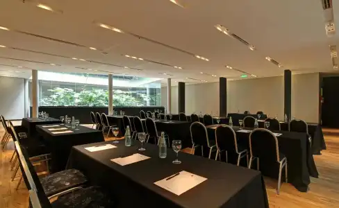 Anselmo Buenos Aires Curio Collection By Hilton - 18