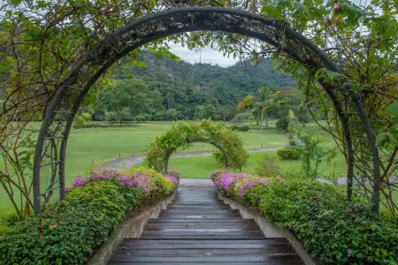 Nexus Resort & Spa Karambunai - 21