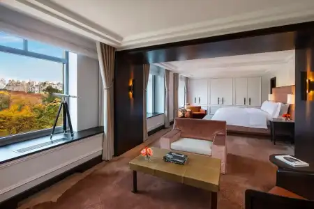 The Ritz-Carlton New York, Central Park - 49