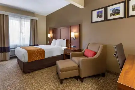 Comfort Suites Raleigh Walnut Creek - 59