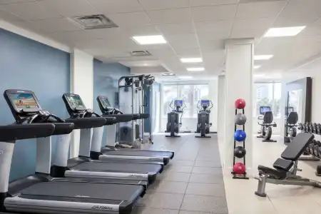 Hilton Clearwater Beach Resort & Spa - 24