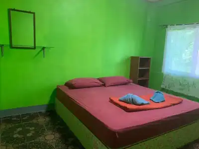 P.D. Guesthouse - 18