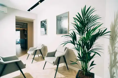 Stela Center - 14