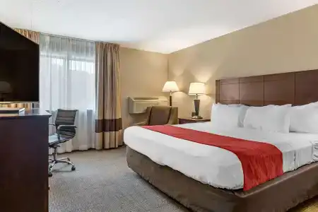 Comfort Inn Lansing West - 5