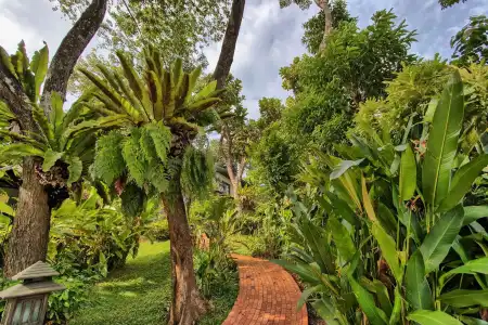 Mangosteen Ayurveda & Wellness Resort - 23