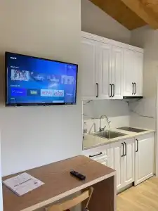 Arial Penthouse Suites - 213